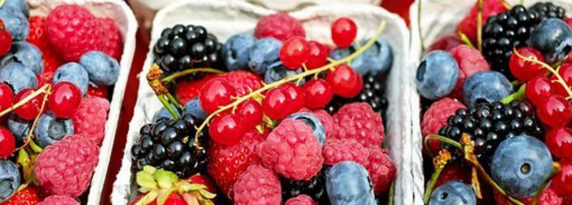 Fresh and Preserved Natural Fruits and Berries